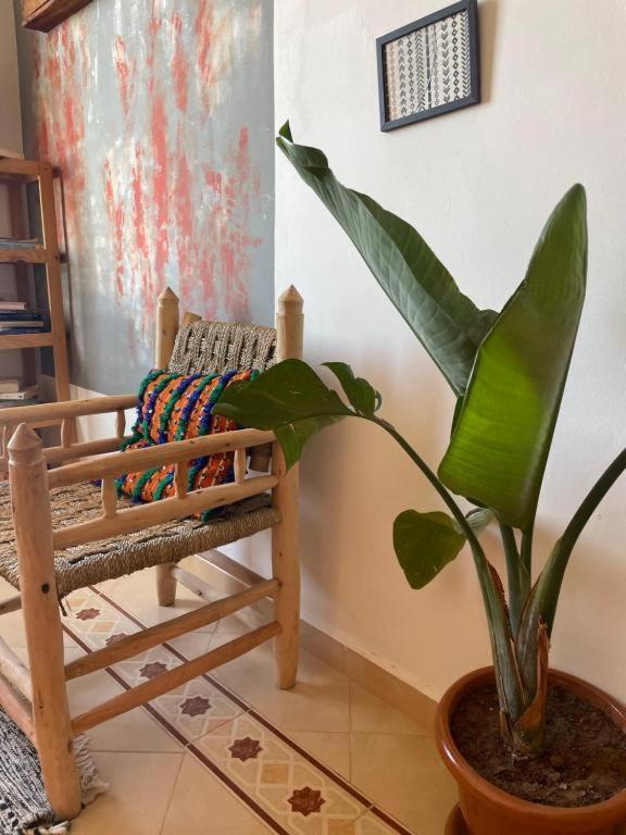 Surf Camp Essaouira Bed & Breakfast Exterior foto